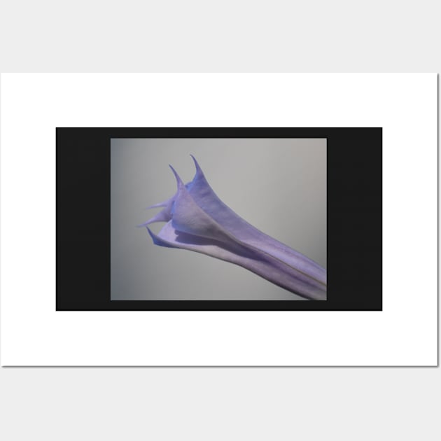 Datura Stramonium closing Wall Art by ToniaDelozier